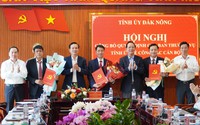 Bổ nhiệm Trưởng Ban Tổ chức Tỉnh ủy, chỉ định Bí thư Thành ủy, Huyện ủy