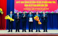 Thành lập Đảng bộ các cơ quan Đảng tỉnh, Đảng bộ UBND tỉnh Quảng Nam