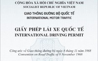 QUY ĐỊNH MẪU GIẤY PHÉP LÁI XE QUỐC TẾ