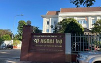 Chính phủ quy định 4 SỞ ĐẶC THÙ được tổ chức ở một số địa phương
