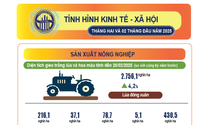 BÁO CÁO TÌNH HÌNH KTXH THÁNG 2 VÀ 2 THÁNG ĐẦU NĂM 2025