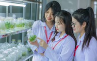 Những nội dung của Nghị định 60/2025/NĐ-CP sửa đổi chính sách hỗ trợ với sinh viên sư phạm