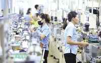 Thiết kế chính sách cần thông thoáng tạo điều kiện cho doanh nghiệp phát triển, tăng về số lượng, nâng cao chất lượng