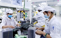 Chính sách đặc biệt phát triển kinh tế tư nhân: Hỗ trợ tài chính, tín dụng, thuế, phí, lệ phí, ưu đãi lựa chọn nhà thầu