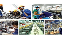 Rà soát, sửa đổi các quy định về chế độ tài chính, kế toán, thuế, bảo hiểm đối với doanh nghiệp siêu nhỏ