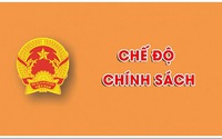 Dự kiến chính sách với người hoạt động không chuyên trách ở cấp xã nghỉ ngay khi thực hiện chính quyền địa phương 2 cấp
