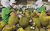 Ưu tiên thông quan ngay đối với nông lâm thủy sản xuất khẩu, đặc biệt là sầu riêng