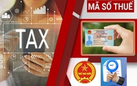 Sử dụng số định danh cá nhân thay cho mã số thuế từ  01/7/2025: Lưu ý với người nộp thuế
