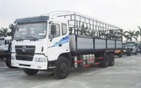 Trường hợp xe ô tô chở hàng được chở người