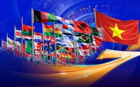 Chính phủ phân quyền, phân cấp trong lĩnh vực đối ngoại
