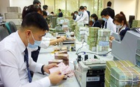 Chính phủ quy định quản lý, sử dụng vốn, tài sản của tổ chức tín dụng