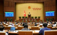 Thông qua Luật sửa đổi, bổ sung một số điều của Bộ luật Hình sự