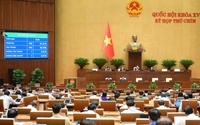 Thông qua Luật sửa đổi, bổ sung Luật xử lý vi phạm hành chính