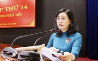 Chỉ định nhân sự Hội đồng nhân dân tỉnh Đồng Tháp mới