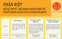 Mã số thuế - mã số định danh điện tử - số định danh của doanh nghiệp sẽ như thế nào sau ngày 01/7/2025?