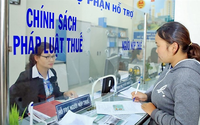 Thủ tục kê khai, nộp thuế với cá nhân không cư trú có hoạt động kinh doanh trên nền tảng thương mại điện tử không có chức năng thanh toán