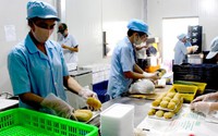 Phát triển kinh tế tư nhân: Đề xuất miễn, giảm thuế thu nhập doanh nghiệp