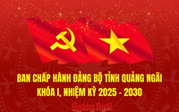 DANH SÁCH BAN CHẤP HÀNH ĐẢNG BỘ TỈNH QUẢNG NGÃI, NHIỆM KỲ 2025 - 2030