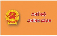 Chính sách đối với cán bộ, công chức, viên chức, người lao động và lực lượng vũ trang đã đủ tuổi nghỉ hưu thấp nhất nghỉ việc ngay do sắp xếp bộ máy