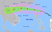 Chỉ đạo của Bộ Tổng Tham mưu Quân đội nhân dân Việt Nam về ứng phó với bão RAGASA
