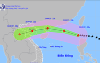 Khẩn trương ứng phó SIÊU BÃO RAGASA với tinh thần quyết liệt nhất để bảo đảm an toàn tính mạng cho dân