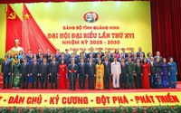 Danh sách Ban Chấp hành Đảng bộ, Ban Thường vụ Tỉnh ủy Quảng Ninh nhiệm kỳ 2025-2030 (khóa XVI)