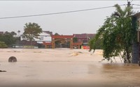 KHẨN CẤP ứng phó lũ quét, sạt lở đất; tạm dừng các công việc chưa cần thiết, huy động tổng lực khắc phục hậu quả bão số 10 và mưa lũ