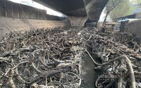 Thủ tướng Chính phủ chỉ đạo điều tra làm rõ nguyên nhân, xử lý trách nhiệm vụ cháy bãi trông giữ xe dưới gầm cầu Vĩnh Tuy