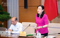 Thẩm tra dự án Luật An toàn thực phẩm (sửa đổi)