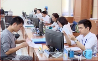 Các tiêu chí đánh giá tác động của thủ tục hành chính