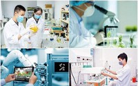 Quy định cơ chế thu hút chuyên gia, tài năng trẻ trong hoạt động đổi mới sáng tạo, khai thác dữ liệu