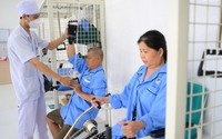 Chiến lược phát triển nền y học cổ truyền Việt Nam đến năm 2030, tầm nhìn 2045