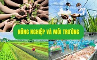 Dự thảo Nghị định Sửa đổi, bổ sung một số điều của các nghị định lĩnh vực nông nghiệp và môi trường