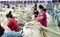 Người lao động tại đơn vị sự nghiệp công lập chuyển đổi được hưởng chính sách gì?