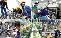TÁI CƠ CẤU HỆ THỐNG, PHÁT TRIỂN CÁC DOANH NGHIỆP "ĐẦU ĐÀN" DẪN DẮT THỊ TRƯỜNG, KẾT NỐI CHUỖI GIÁ TRỊ