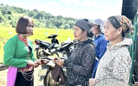 Trưởng thôn, Tổ trưởng tổ dân phố có những nhiệm vụ, quyền hạn gì?
