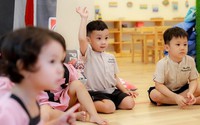 TOÀN VĂN: Nghị quyết 23/2026/NQ-CP về cắt giảm thủ tục hành chính, điều kiện kinh doanh thuộc phạm vi quản lý của Bộ Giáo dục và Đào tạo