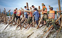 Thông tư ban hành Điều lệ Công tác bảo vệ môi trường của Quân đội nhân dân Việt Nam