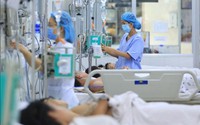 Nghị định số 192/2026/NĐ-CP về chế độ phụ cấp đặc thù trong lĩnh vực y tế; hỗ trợ hằng tháng đối với nhân viên y tế thôn, tổ dân phố, cô đỡ thôn, bản