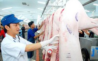 Văn bản hợp nhất 67/VBHN-BNNMT Quy định về kiểm dịch động vật, sản phẩm động vật trên cạn