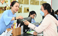 TP Hồ Chí Minh ban hành vị trí việc làm công chức, viên chức