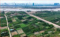Đề xuất miễn thuế sử dụng đất phi nông nghiệp với đất dùng cho giáo dục và đào tạo