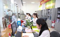 Tỷ lệ viên chức bố trí theo bậc nghề nghiệp của vị trí việc làm