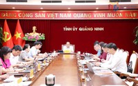 Hoàn thành bầu Trưởng thôn, bản, khu phố trong tháng 8/2026; giải quyết kịp thời chế độ cho nhân sự dôi dư