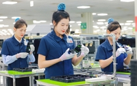 Người sử dụng lao động vi phạm về tiền lương; giờ làm việc; giờ nghỉ ngơi, xử phạt thế nào?