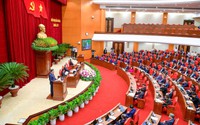 Quy định số 208-QĐ/TW về thi hành Điều lệ Đảng