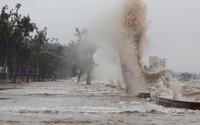 KHẨN TRƯƠNG ỨNG PHÓ BÃO SỐ 1 (MAYSAK) với tinh thần QUYẾT LIỆT NHẤT, Ở MỨC CAO NHẤT