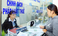 Các trường hợp công khai thông tin người nộp thuế