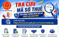 Hướng dẫn tra cứu mã số thuế