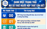 Danh mục trạng thái mã số thuế người nộp thuế cần biết